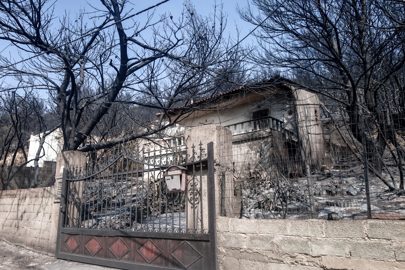 Πάρνηθα: Εντοπίστηκε καμένο κρανίο στη Φυλή