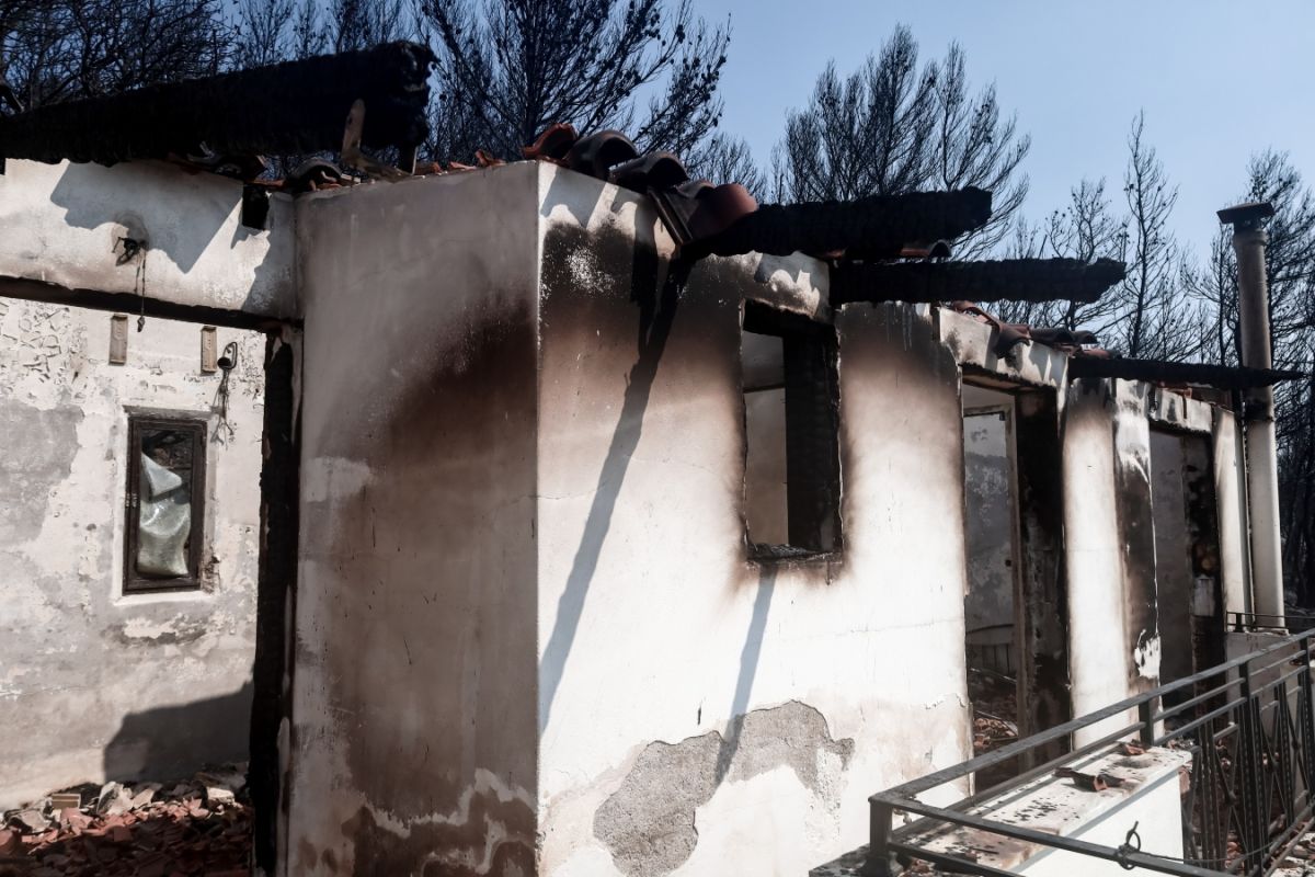 Αρτοποιός για Πάρνηθα: Καλύτερη η εικόνα της φωτιάς – Δεν εφησυχάζουμε