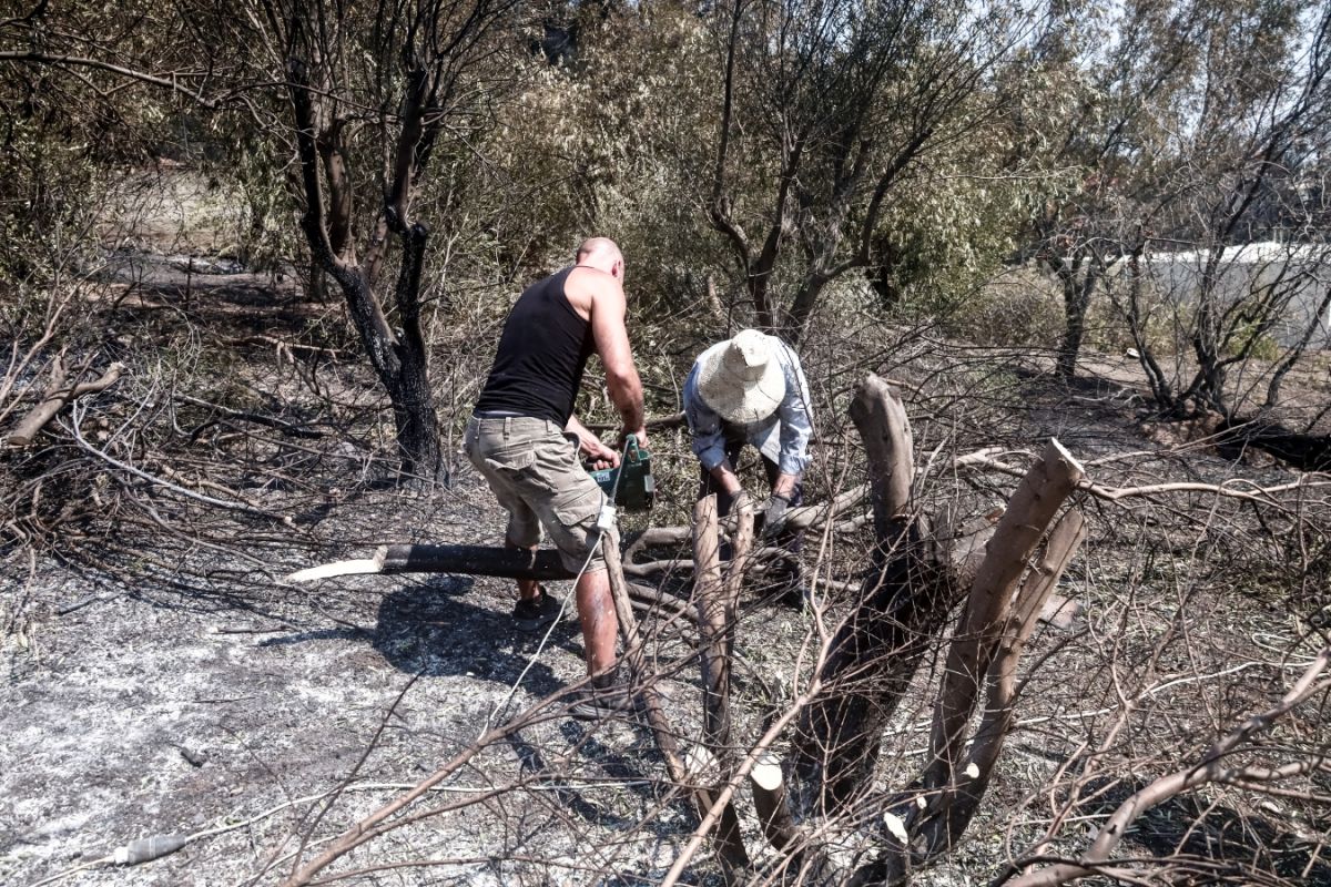 Πρόγραμμα Αρωγή: Από σήμερα μπαίνουν τα λεφτά για τους πυρόπληκτους του Ιουλίου