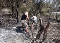 Πρόγραμμα Αρωγή: Από σήμερα μπαίνουν τα λεφτά για τους πυρόπληκτους του Ιουλίου