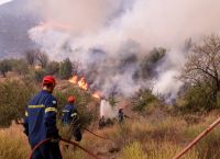 Copernicus: 44% πάνω από τον μέσο όρο της προηγούμενης 15ετίας τα καμένα στην ΕΕ