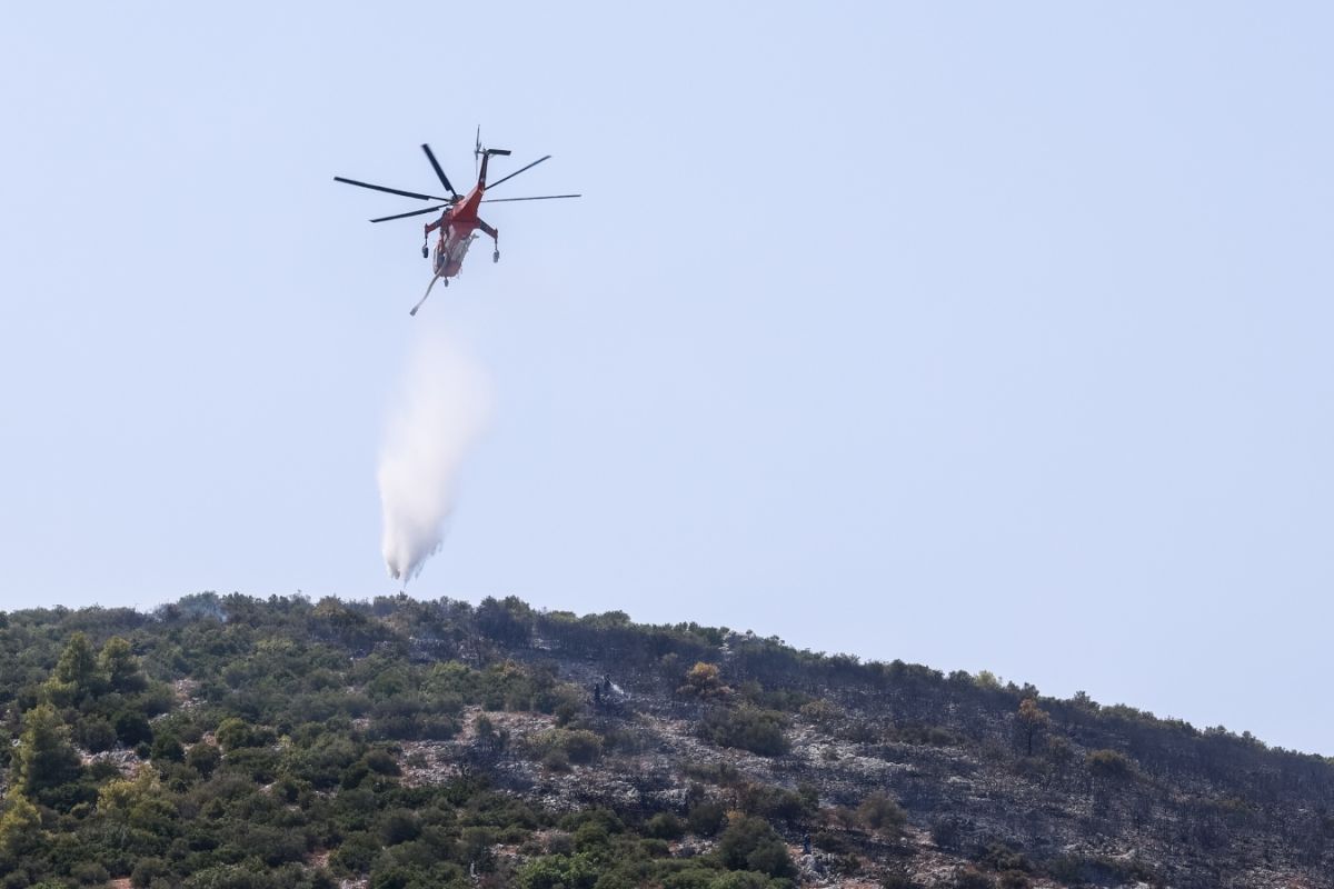 Ελλάδα: Ατελείωτη μάχη με τις αναζωπυρώσεις στα πύρινα μέτωπα- Σημαντική η διεθνής βοήθεια