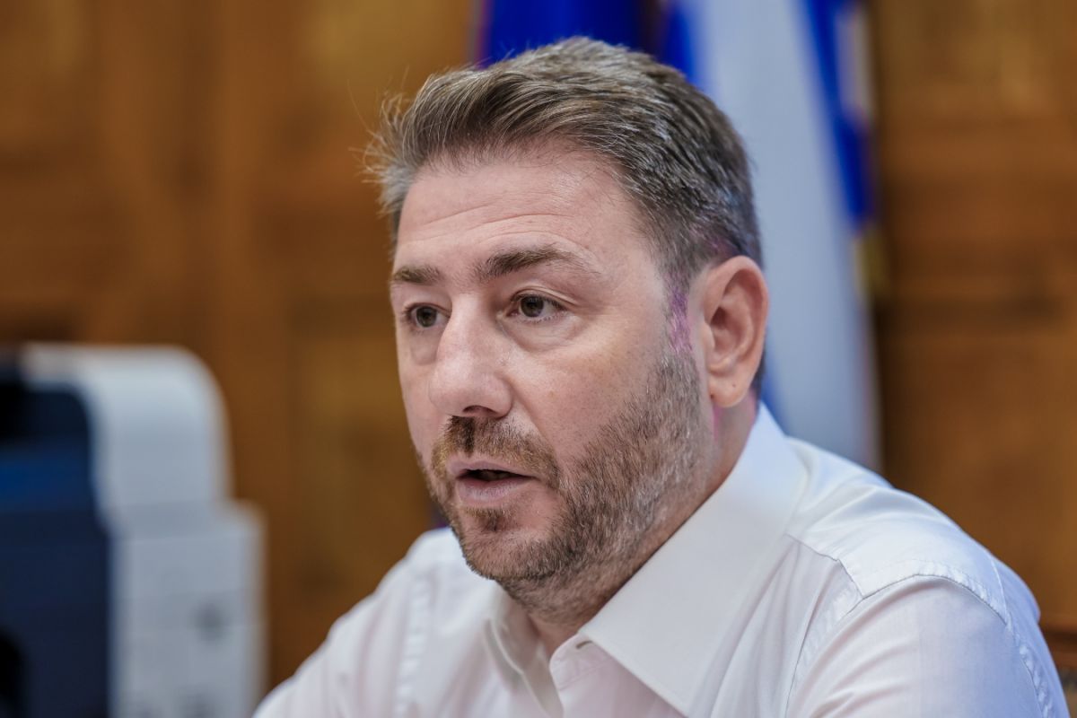 Ανδρουλάκης: Η κυβέρνηση απέτυχε παταγωδώς να προστατεύσει το δάσος της Δαδιάς