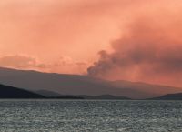 Υπο έλεγχο η φωτιά στα Φάρσαλα – Μάχη με τις αναζωπυρώσεις στον Έβρο