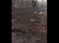 Φωτιά στον Έβρο: «Ψυχούλες μου όμορφες, κοριτσάκια μου γλυκά»-Μελισσοκόμος αποχαιρετά τις μέλισσες που κάηκαν