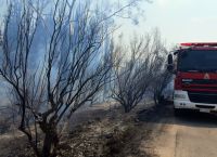 Συνεχίζεται ο πύρινος εφιάλτης στον Έβρο: Νέες αναζωπυρώσεις σε Αλεξανδρούπολη και Ροδόπη