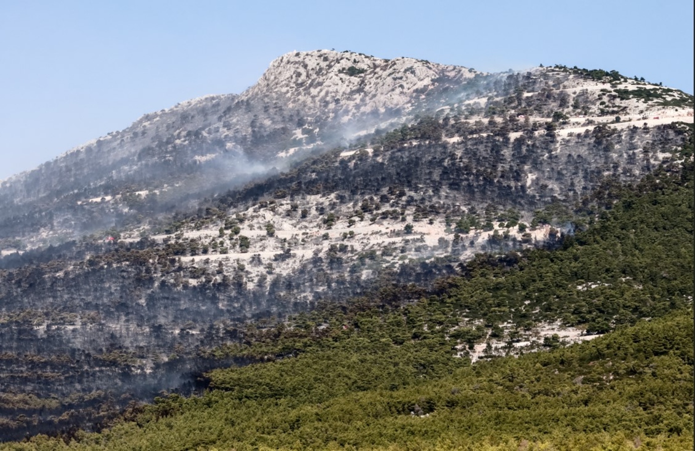 Αυλώνας: Δείτε φωτογραφίες-ντοκουμέντο από τις απόπειρες εμπρησμού