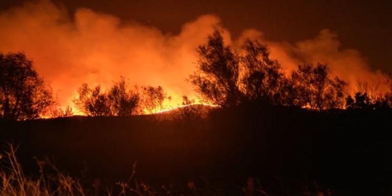 Battle with blaze in Evros continues; 40 people rescued in Aghia Paraskevi and Dikella, Alexandroupolis