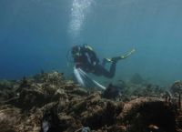 Σε 160 στρέμματα εκτείνεται η υποβρύχια χωματερή στην Άνδρο, που εξόργισε τον Λεονάρντο Ντι Κάπριο