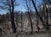 Eleven fires from 2017 to 2023 burned 23% of Attica Region, Nat’l Observatory says