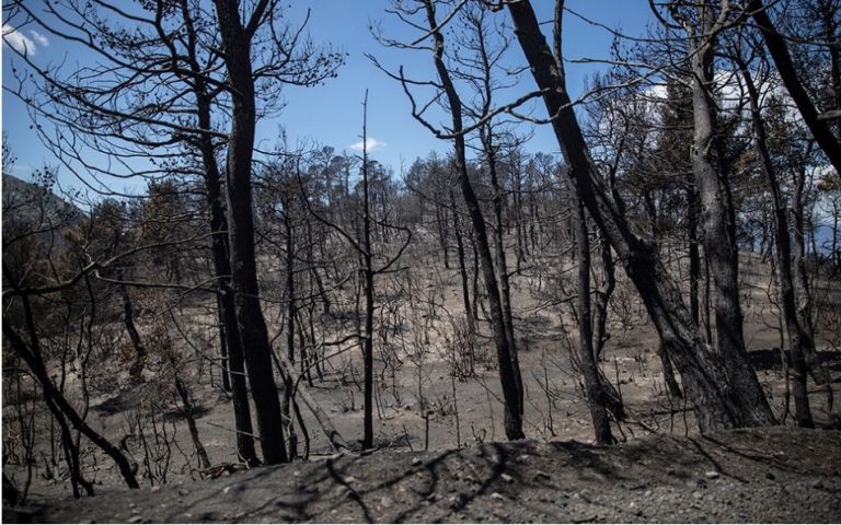 Eleven fires from 2017 to 2023 burned 23% of Attica Region, Nat’l Observatory says