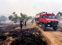 Σε εξέλιξη φωτιές σε Εύβοια, Βοιωτία και Αλεξανδρούπολη – Απειλούνται σπίτια