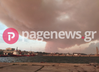 Φωτιά στην Αλεξανδρούπολη: «Μάχη» με τις φλόγες και τους ισχυρούς ανέμους [pics pagenews.gr]