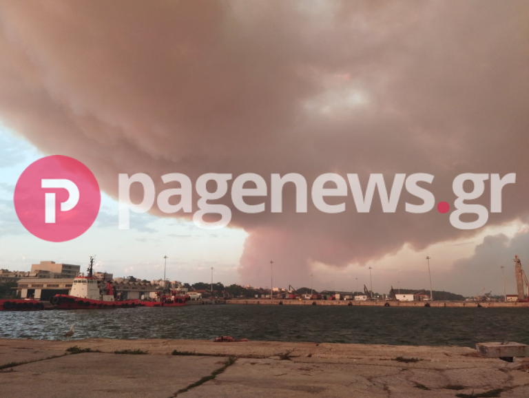 Φωτιά στην Αλεξανδρούπολη: «Μάχη» με τις φλόγες και τους ισχυρούς ανέμους [pics pagenews.gr]