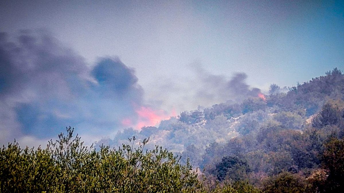 Συνελήφθη άντρας για εμπρησμό στην Κάρυστο: Ομολόγησε ότι προκάλεσε πέντε πυρκαγιές