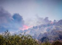 Massive Evros wildfire rages for 14th straight day