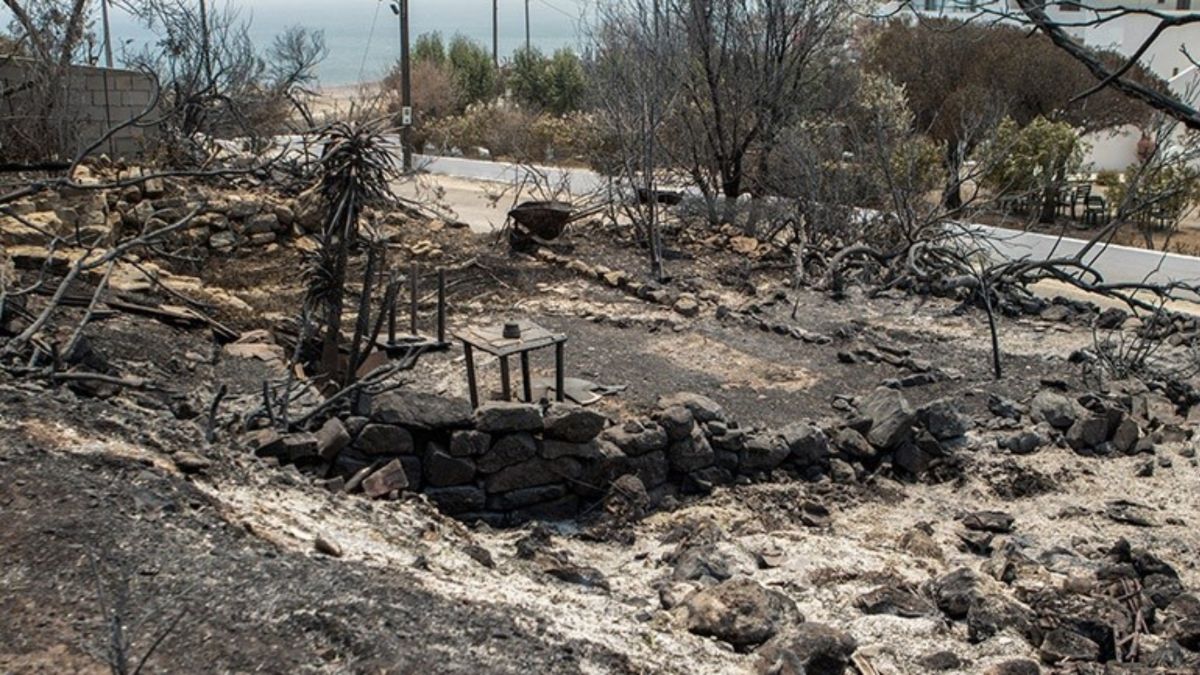 Δήμαρχος Ρόδου: Τι στοιχεία κατέθεσε στην Δικαιοσύνη για τους εμπρηστές
