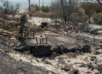 Δήμαρχος Ρόδου: Τι στοιχεία κατέθεσε στην Δικαιοσύνη για τους εμπρηστές