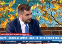 Μαρινάκης: Οι εκτάσεις που καίγονται κηρύσσονται αναδασωτέες