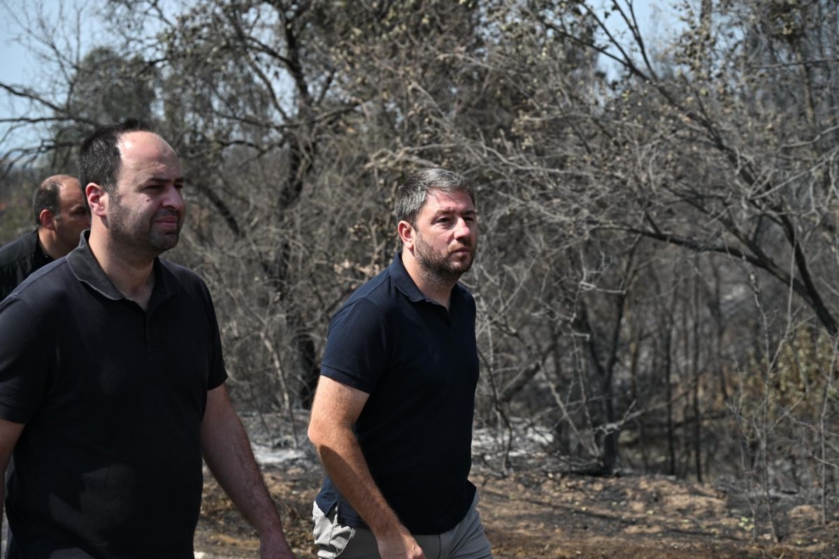Ανδρουλάκης: «Το κλειδί της αντιμετώπισης των πυρκαγιών στη χώρα μας είναι η πρόληψη»