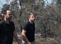 Ανδρουλάκης: «Το κλειδί της αντιμετώπισης των πυρκαγιών στη χώρα μας είναι η πρόληψη»