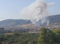 Ασπρόπυργος: Μάχη για να περιοριστεί το πύρινο μέτωπο στο Σοφό – Επιχειρούν τα εναέρια