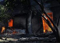 EAEE: 235 ασφαλισμένες ζημιές από τις δασικές πυρκαγιές το διάστημα 17-28 Ιουλίου
