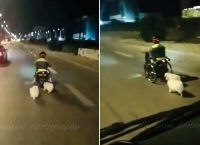 Παραλιακή: Οδηγός παρέσυρε και σκότωσε 40χρονο που κινούνταν σε ηλεκτρικό αμαξίδιο