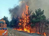 Ανυπολόγιστη η ζημιά στο Εθνικό Πάρκο της Δαδιάς