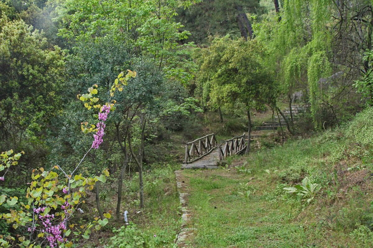 «Κλιματική αλλαγή, δασικές πυρκαγιές και ερημοποίηση συνδέονται άμεσα»