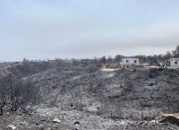 Ανακοινώθηκαν οι αποζημιώσεις του ΕΛΓΑ για τις πυρκαγιές
