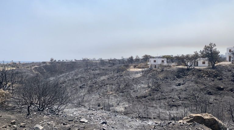 Ανακοινώθηκαν οι αποζημιώσεις του ΕΛΓΑ για τις πυρκαγιές