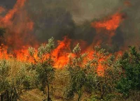 Συνεχής μάχη στα πύρινα μέτωπα της Ελλάδας