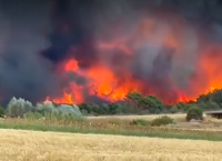 Wildfire raging in Fyli; message sent to evacuate