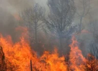 Πυρκαγιές: Το ένα αρνητικό ρεκόρ διαδέχεται το άλλο – Τι επισημαίνει η Copernicus για τον Έβρο
