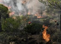Οι πυρκαγιές και ο πειρασμός του λαϊκισμού