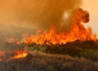 Η στιγμή που 52χρονος στη Χαλκίδα φέρεται να βάζει φωτιά [vid]