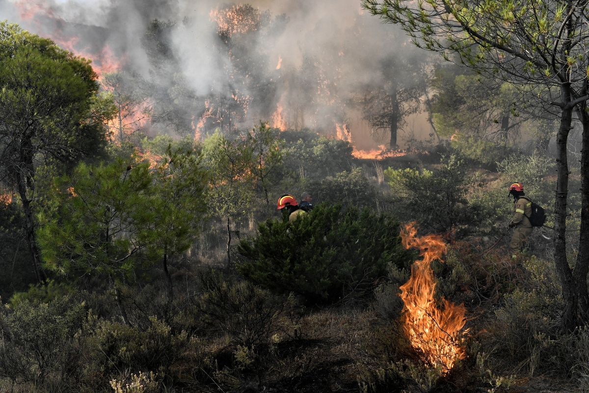 Οι πυρκαγιές και ο πειρασμός του λαϊκισμού