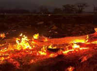 Χαβάη: Αταυτοποίητοι οι 93 νεκροί της φονικής πυρκαγιάς στο Μάουι – Χάθηκαν τα ίχνη 1302 ανθρώπων