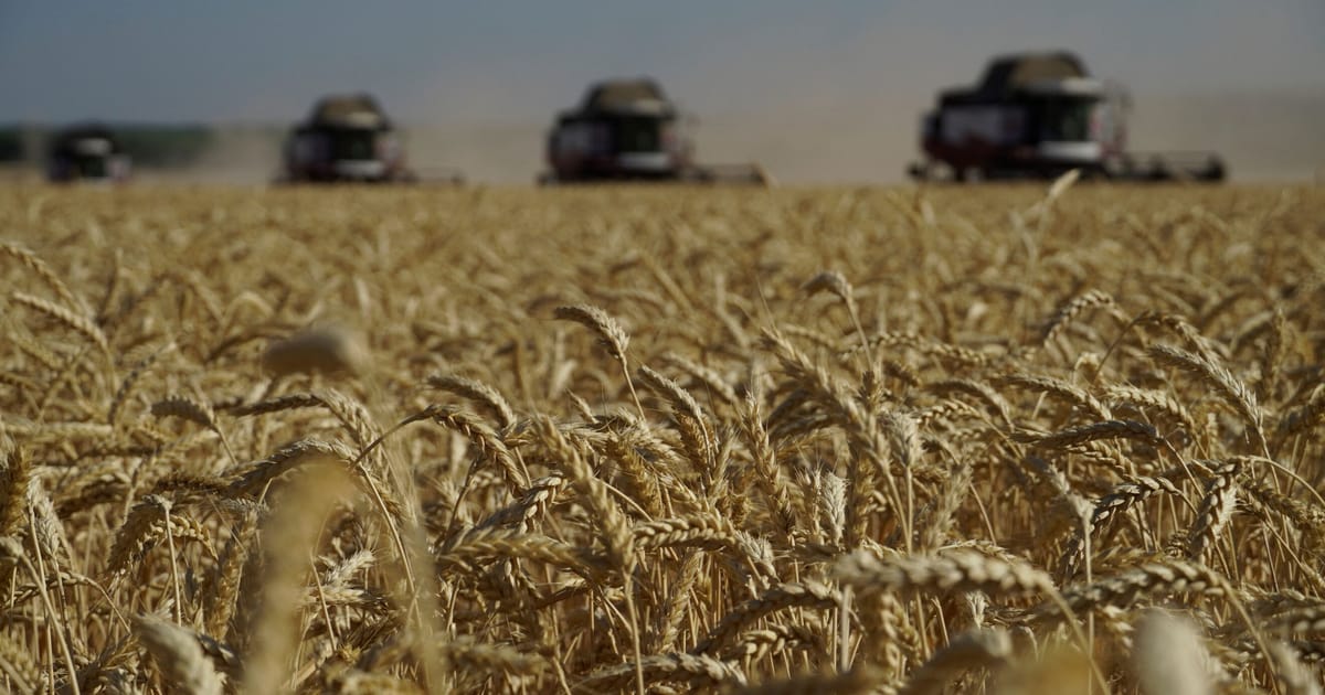 Ε.Ε.: Η Ρωσία να επιστρέψει στη συμφωνία για τα σιτηρά