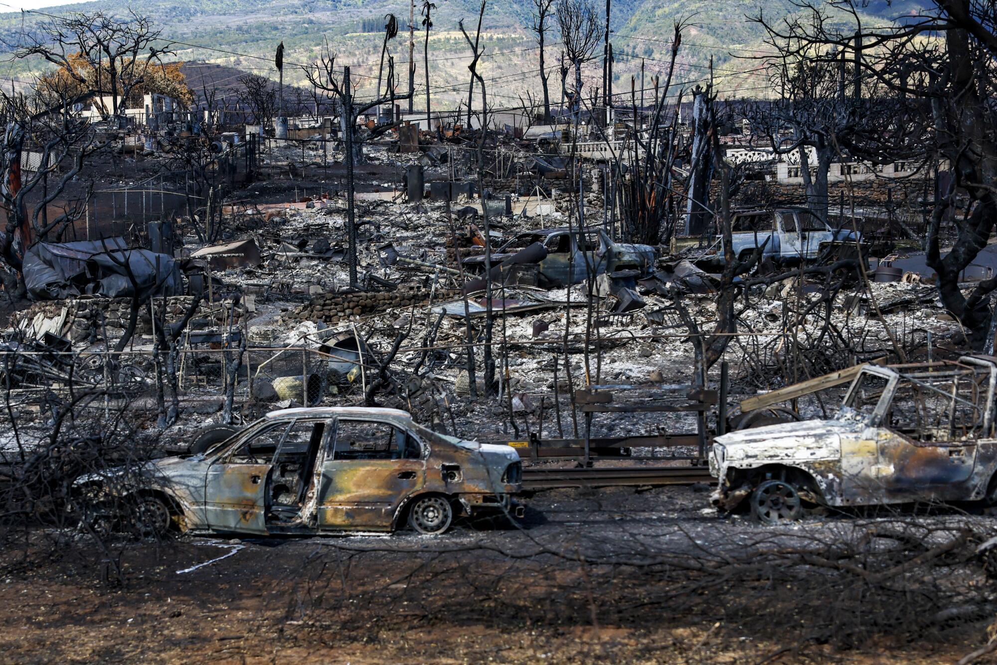 Χαβάη: 68 άνθρωποι συνεχίζουν να αγνοούνται έναν μήνα μετά την καταστροφική πυρκαγιά στο Μάουι