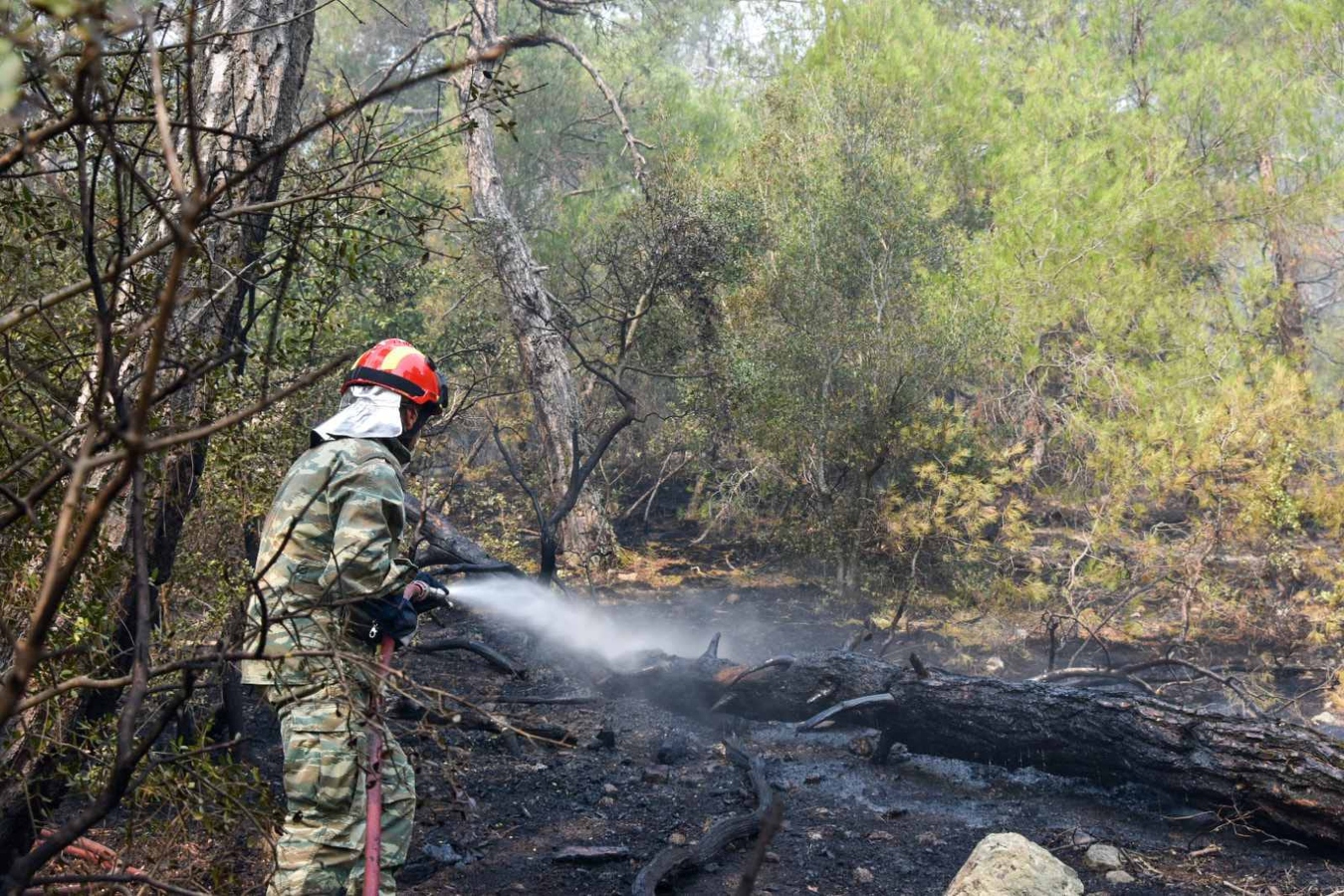 Τοπίο Αποκάλυψης ο Έβρος – Συγκλονιστικά πλάνα από drone πάνω από τις καμένες εκτάσεις [vid]