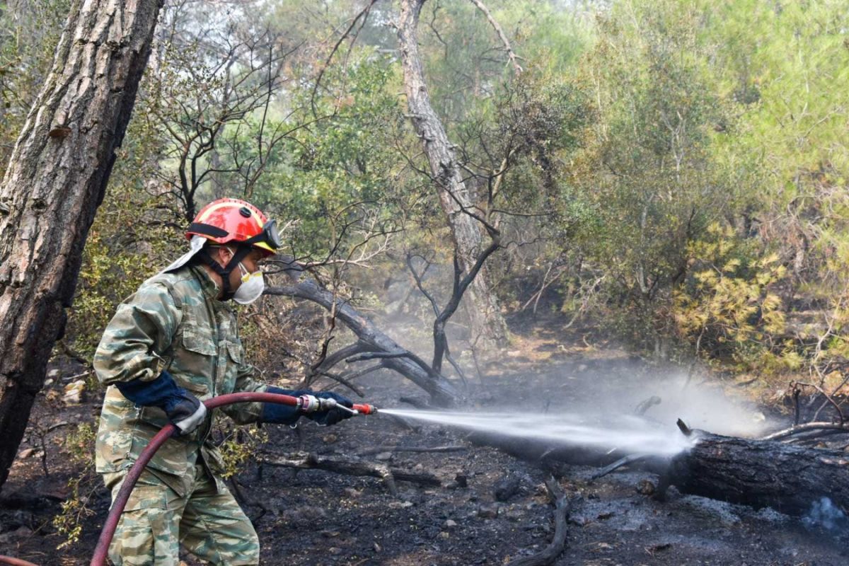 Πυροσβέστες απεγκλώβισαν 25 παράτυπους μετανάστες στον Έβρο