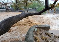 Messages sent to residents of Karditsa and Farsala to avoid movement [vid]
