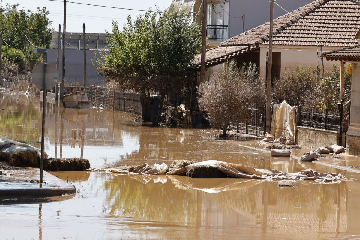 Θεσσαλία: Εκτιμάται ότι πνίγηκαν περίπου 100.000 ζώα [vid]