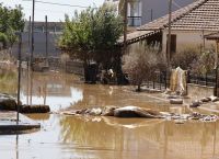 Θεσσαλία: Εκτιμάται ότι πνίγηκαν περίπου 100.000 ζώα [vid]