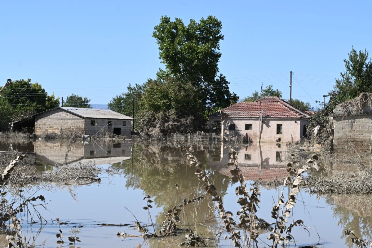 Δήμαρχος Παλαμά: Δεν πλημμυρίσαμε από το σπάσιμο αναχώματος στον Καλέντζη [vid]