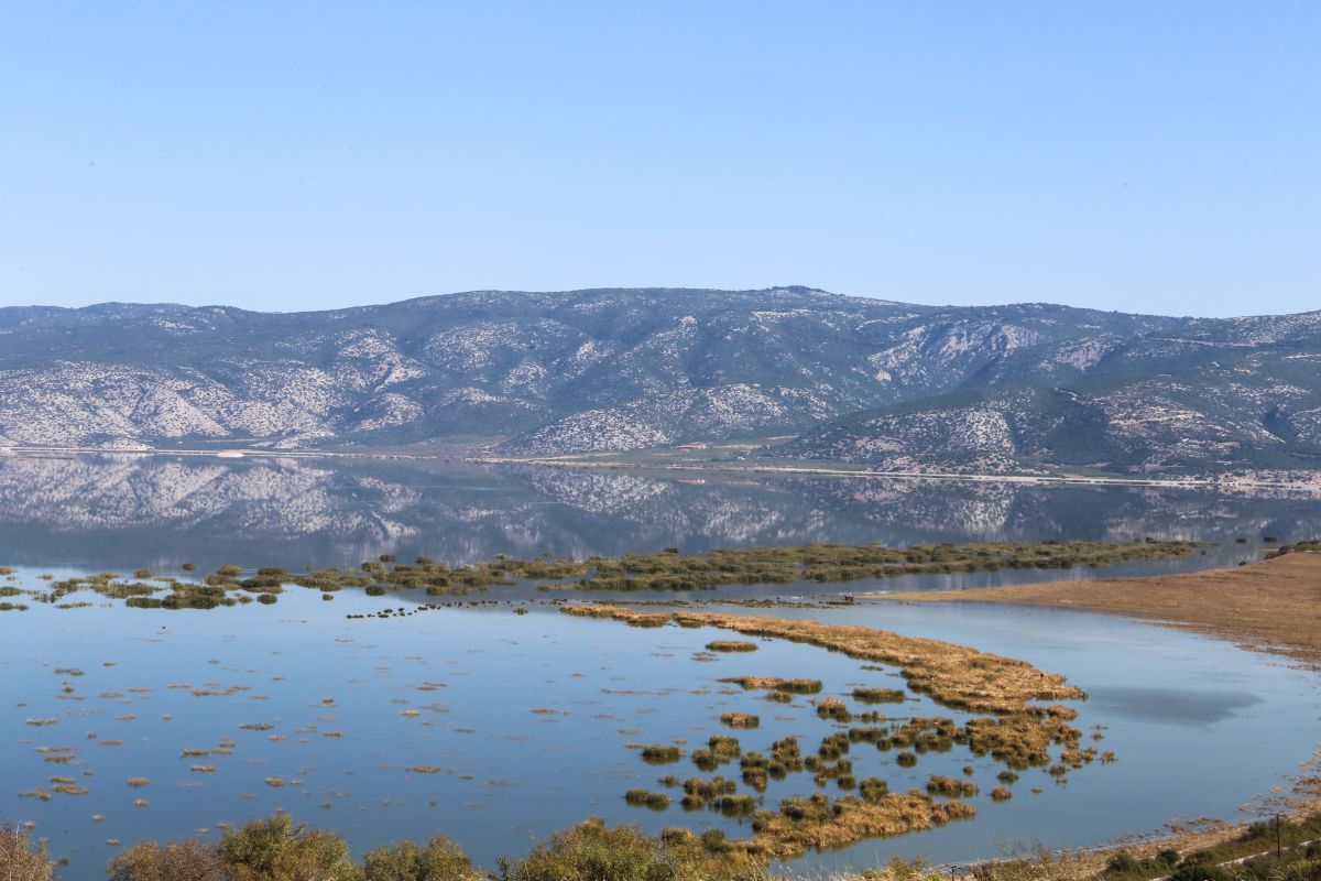 Θεσσαλία: Αγωνία για τη στάθμη του νερού στη λίμνη Κάρλα [vid]
