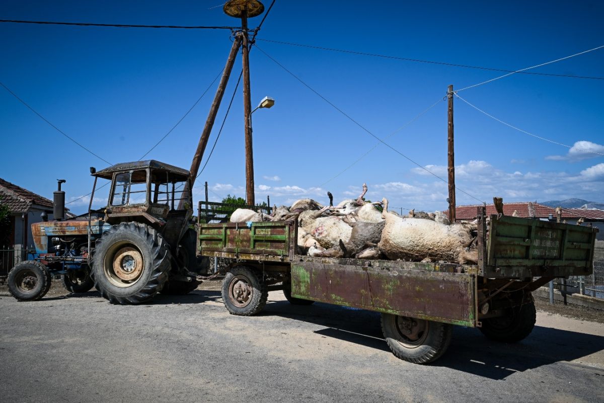 Evacuation and restoration operations continue in Thessaly following disaster flooding