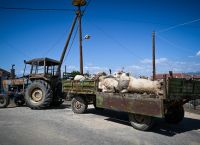Θεσσαλία: Επιχειρούν πάνω από 380 μηχανήματα για την πρόσβαση σε όλα τα χωριά [vid]